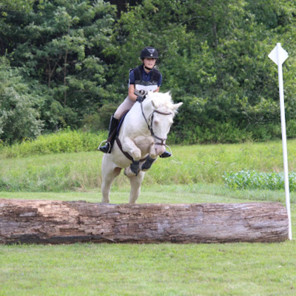 Meet your Posher, Taryn - Picture 1 of 1